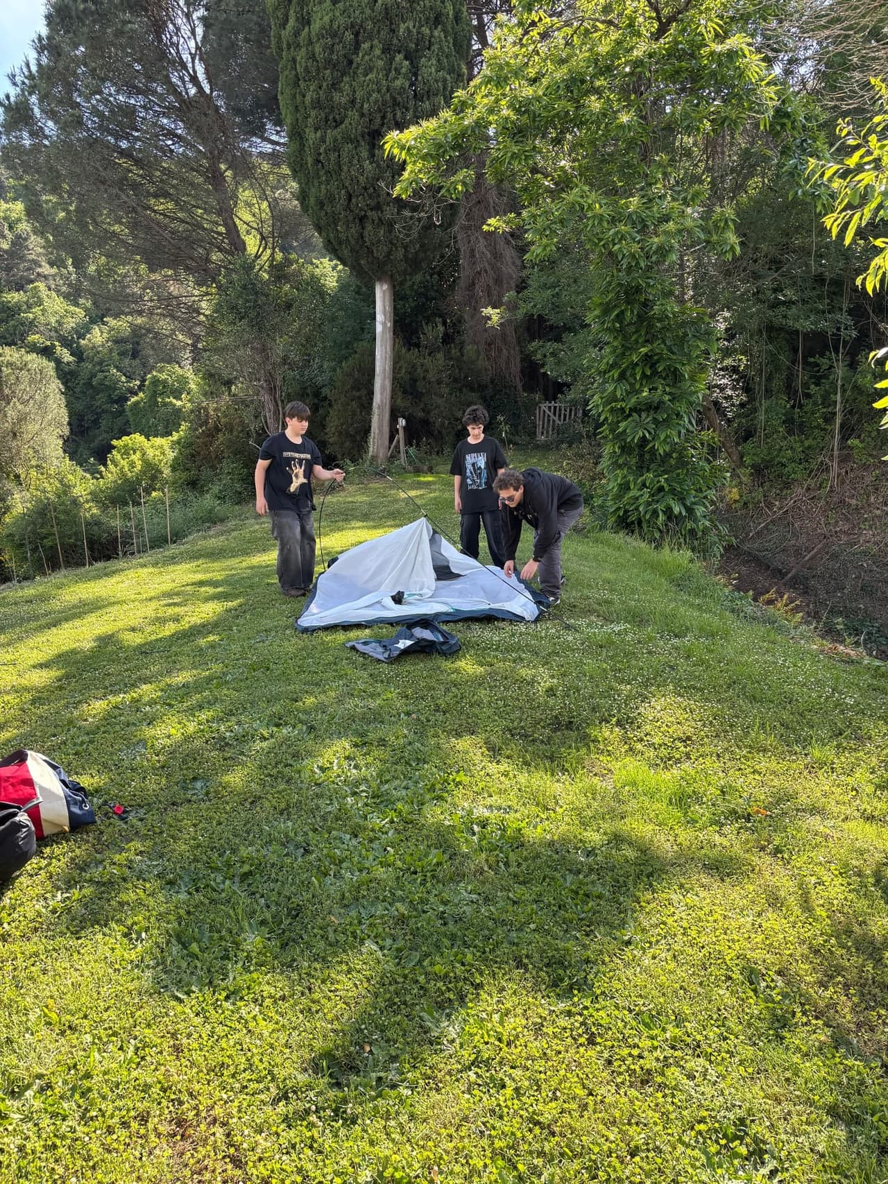 School group learning hands-on about native tree species