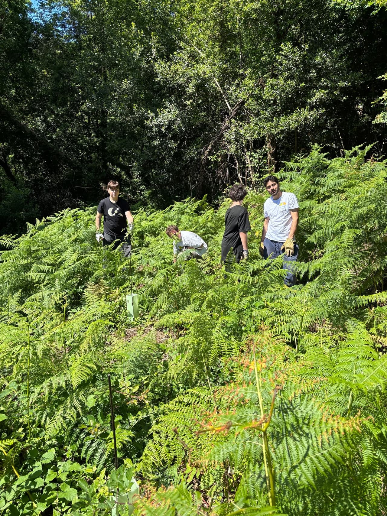 Students learning about reforestation and ecosystem restoration