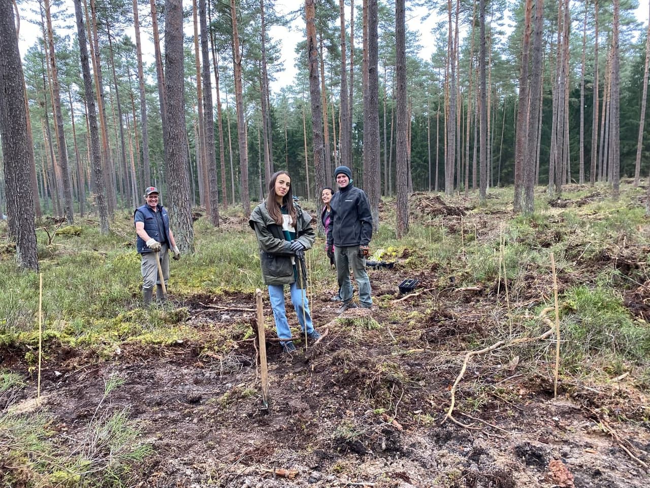 Volunteers from Germany contributing to the reforestation effort