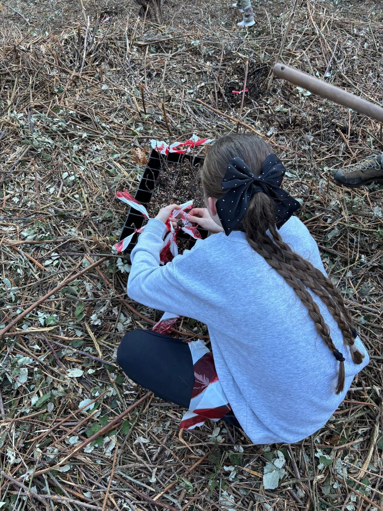 Student planting a native tree sapling as part of long-term stewardship