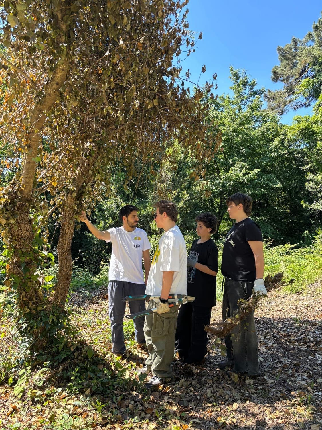 Volunteers and youth learning about trees in the forest
