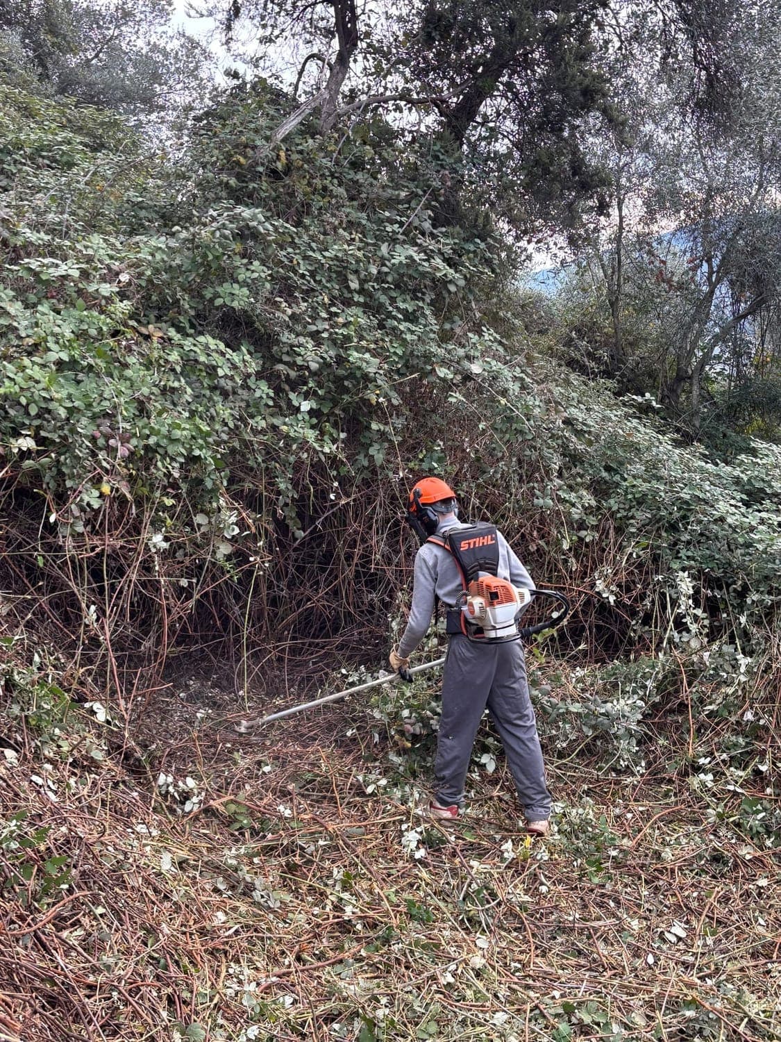 Local community member working at the reforestation site