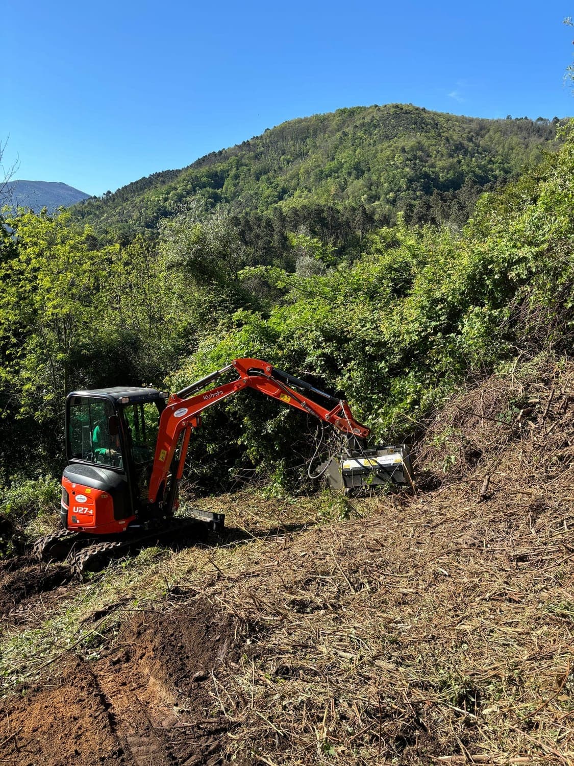 Forest restoration in Italy