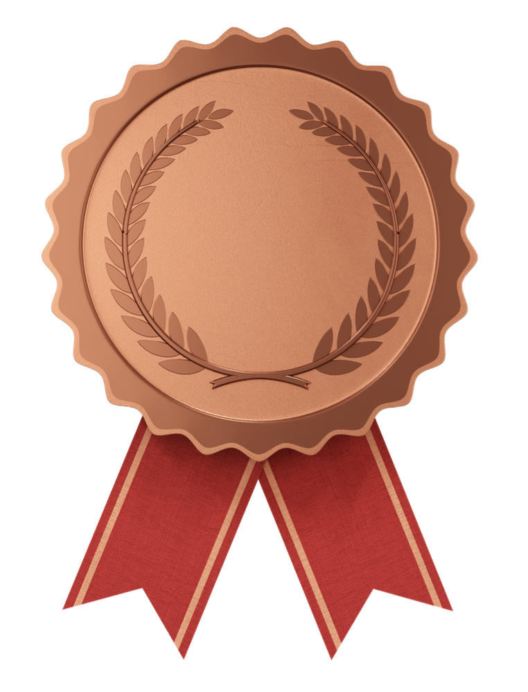 Bronze Medal
